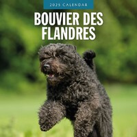 Bouvier des Flandres - 2025 Square Wall Calendar 16 month by Red Robin