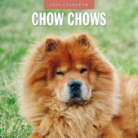 Chow Chows - 2025 Square Wall Calendar 16 month by Red Robin