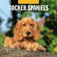 Cocker Spaniels - 2025 Square Wall Calendar 16 month by Red Robin