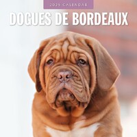 Dogues de Bordeaux - 2025 Square Wall Calendar 16 month by Red Robin