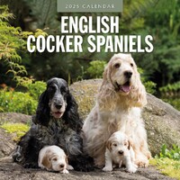 English Cocker Spaniels - 2025 Square Wall Calendar 16 month by Red Robin