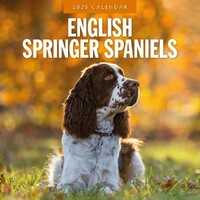 English Springer Spaniels - 2025 Square Wall Calendar 16 month by Red Robin