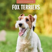 Fox Terriers - 2025 Square Wall Calendar 16 month by Red Robin