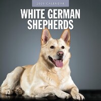 German Shepherd, White - 2025 Square Wall Calendar 16 month by Red Robin