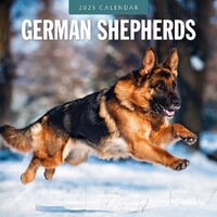 German Shepherds - 2025 Square Wall Calendar 16 month by Red Robin