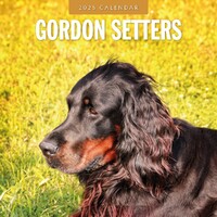 Gordon Setters - 2025 Square Wall Calendar 16 month by Red Robin