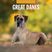 Great Danes - 2025 Square Wall Calendar 16 month by Red Robin