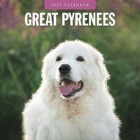 Great Pyrenees - 2025 Square Wall Calendar 16 month by Red Robin