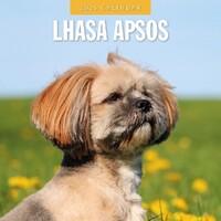 Lhasa Apsos - 2025 Square Wall Calendar 16 month by Red Robin