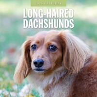 Long-Haired Dachshunds - 2025 Square Wall Calendar 16 month by Red Robin