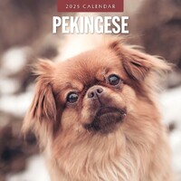 Pekingese - 2025 Square Wall Calendar 16 month by Red Robin