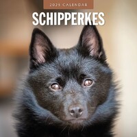 Schipperkes - 2025 Square Wall Calendar 16 month by Red Robin