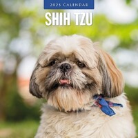 Shih Tzu - 2025 Square Wall Calendar 16 month by Red Robin