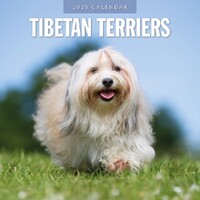 Tibetan Terriers - 2025 Square Wall Calendar 16 month by Red Robin