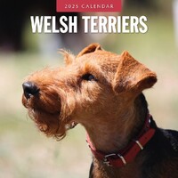 Welsh Terriers - 2025 Square Wall Calendar 16 month by Red Robin