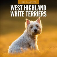 West Highland White Terriers - 2025 Square Wall Calendar 16 month by Red Robin