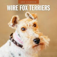 Wire Fox Terriers - 2025 Square Wall Calendar 16 month by Red Robin