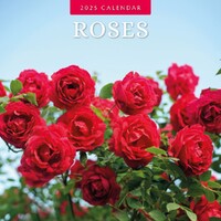 Roses - 2025 Square Wall Calendar 16 month by Red Robin