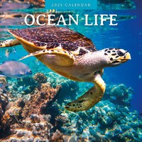 Ocean Life - 2025 Square Wall Calendar 16 month by Red Robin