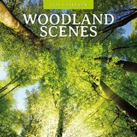 Woodland Scenes - 2025 Square Wall Calendar 16 month by Red Robin