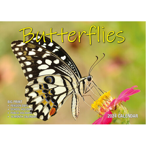 Butterflies  - 2024 Rectangle Wall Calendar 13 Months by Bartel