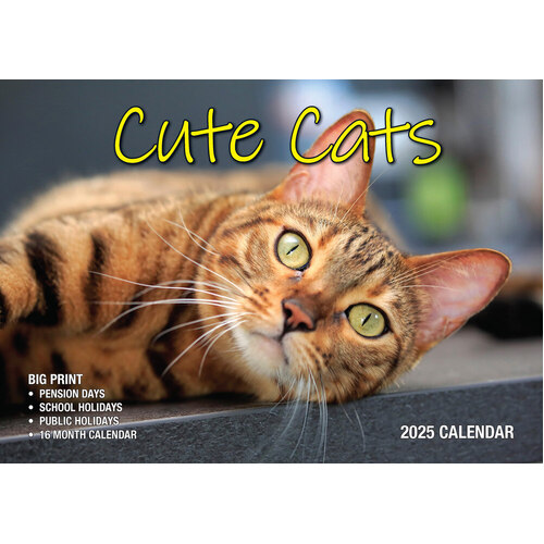 Cute Cats - 2025 Rectangle Wall Calendar 13 Months by Bartel