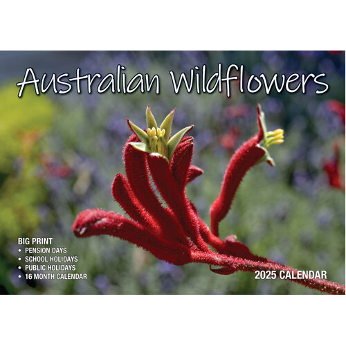 Australian Wildflowers - 2025 Rectangle Wall Calendar 13 Months by Bartel