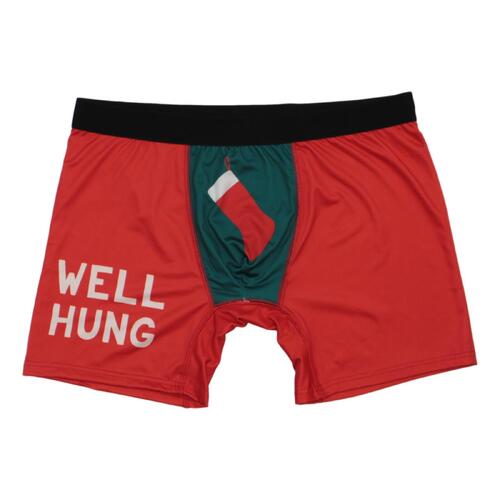 FIL Men's Novelty Christmas Boxers - Well Hung [Size: M]