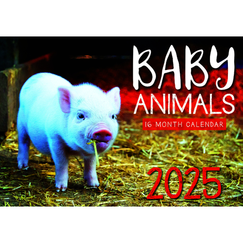 Baby Animals - 2025 Rectangle Wall Calendar 16 Months by Design Group