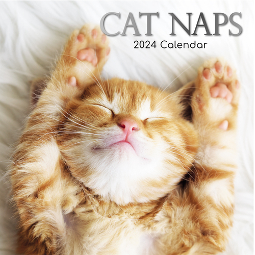 Cat Naps - 2024 Square Wall Calendar 16 month by Gifted Stationery (15)