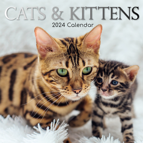 Cats & Kittens - 2024 Square Wall Calendar 16 month by Gifted Stationery (20)