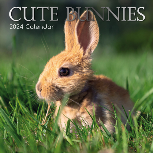 Cute Bunnies - 2024 Square Wall Calendar 16 month by Gifted Stationery (4)