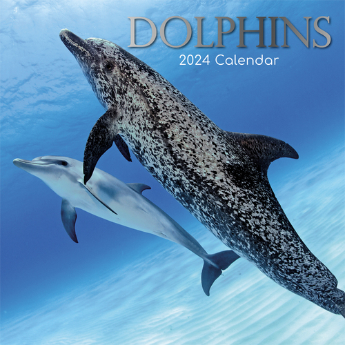 Dolphins - 2024 Square Wall Calendar 16 month by Gifted Stationery (2)