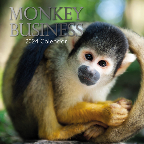 Monkey Business - 2024 Square Wall Calendar 16 month by Gifted Stationery (0)