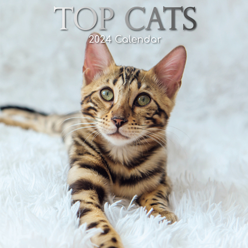 Top Cats - 2024 Square Wall Calendar 16 month by Gifted Stationery (0)