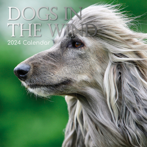 Dogs in the Wind - 2024 Square Wall Calendar 16 month by Gifted Stationery (0)