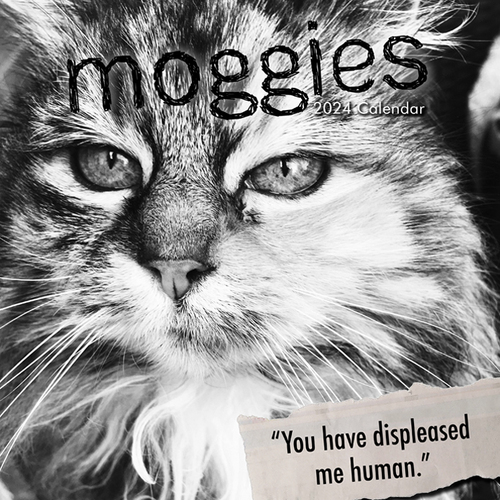 Moggies - 2024 Square Wall Calendar 16 month by Gifted Stationery (0)