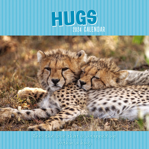 Hugs - 2024 Square Wall Calendar 16 month by Gifted Stationery (0)