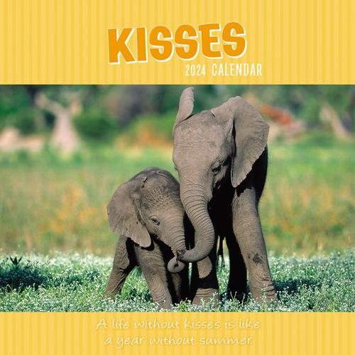 Kisses - 2024 Square Wall Calendar 16 month by Gifted Stationery (0)