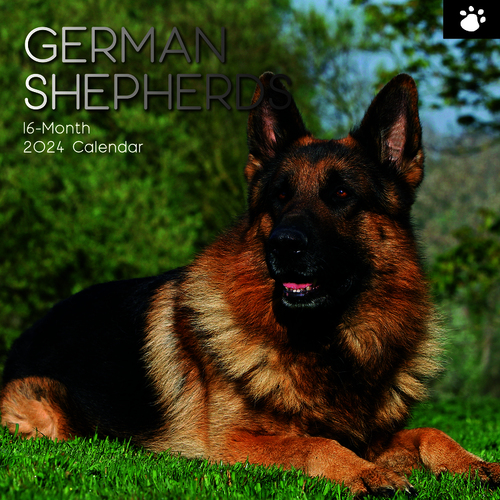 German Shepherds - 2024 Square Wall Calendar 16 month by Gifted Stationery (3)
