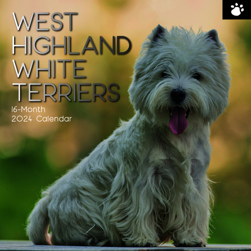 West Highland Terriers - 2024 Square Calendar 16 month by Gifted Stationery (2)