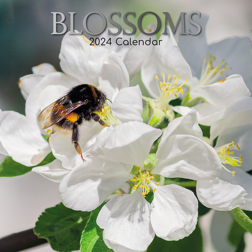Blossoms - 2024 Square Wall Calendar 16 month by Gifted Stationery (0)