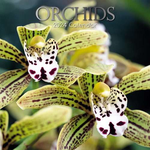 Orchids - 2024 Square Wall Calendar 16 month by Gifted Stationery (25)