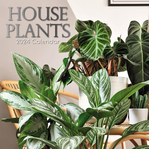 House Plants - 2024 Square Wall Calendar 16 month by Gifted Stationery (21)