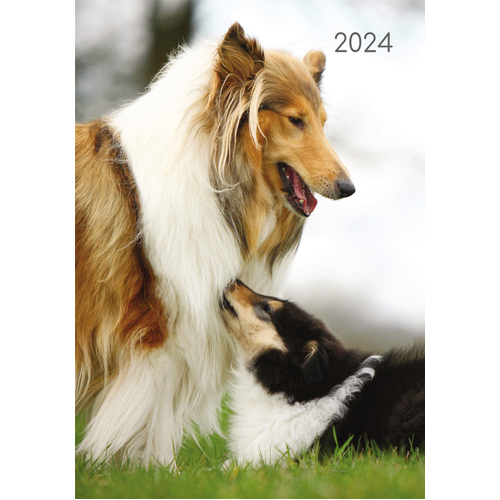 Dogs & Puppies - 2024 Diary Planner A5 Padded Cover by The Gifted Stationery