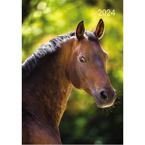 Horses - 2024 Diary Planner A5 Padded Cover by The Gifted Stationery