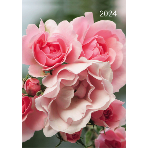 Roses - 2024 Diary Planner A5 Padded Cover by The Gifted Stationery