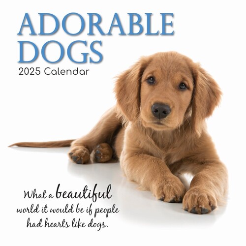 Adorable Dogs - 2025 Square Wall Calendar 16 month by Gifted Stationery