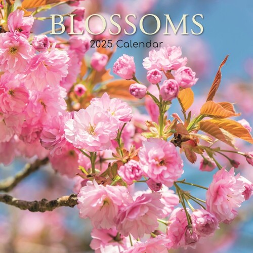 Blossoms - 2025 Square Wall Calendar 16 month by Gifted Stationery