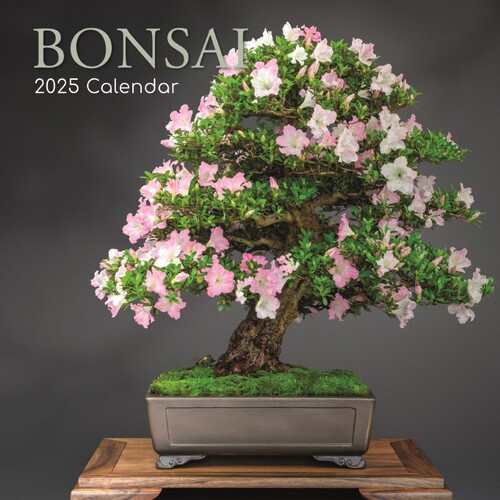 Bonsai - 2025 Square Wall Calendar 16 month by Gifted Stationery